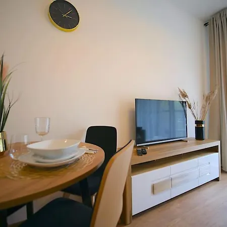 117j Shellter شقة روغوفو