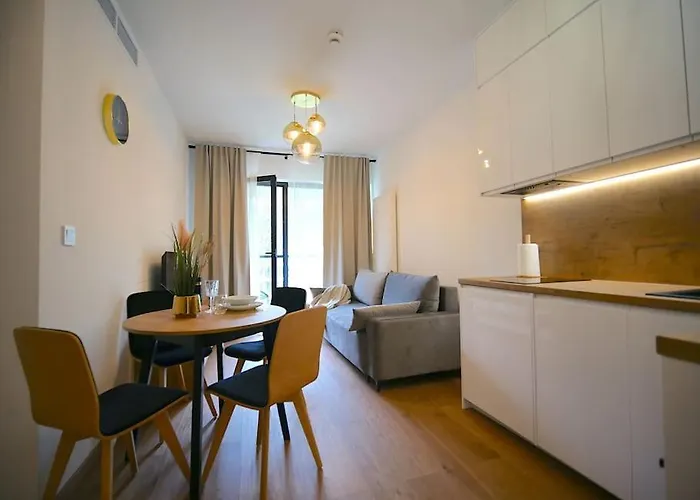 117j Shellter ロゴボ