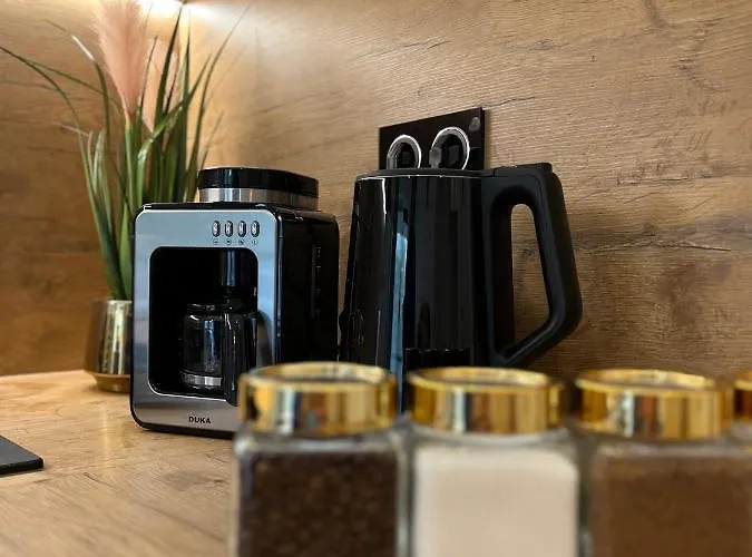 117j Shellter ロゴボ